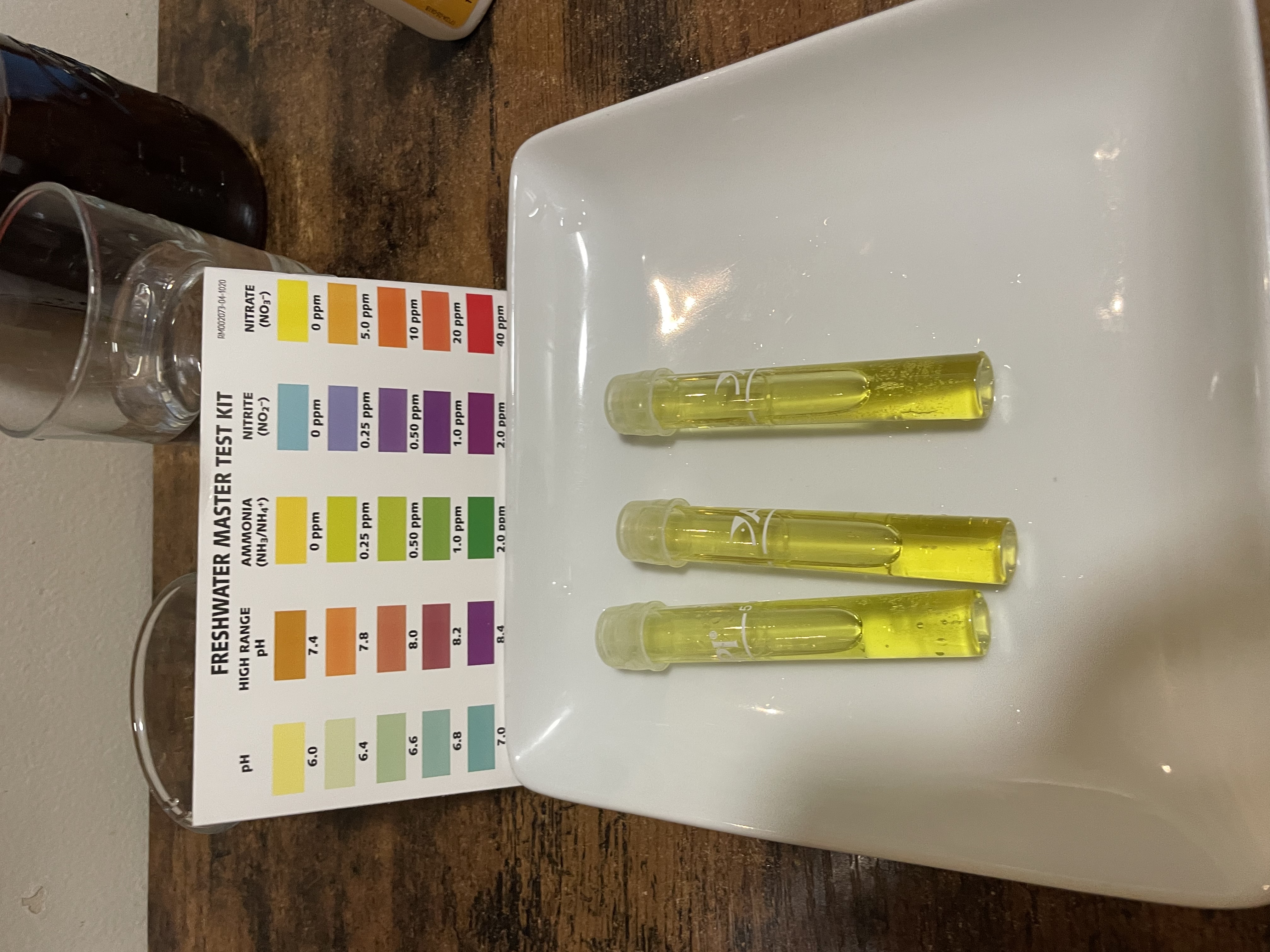 API freshwater ammonia results